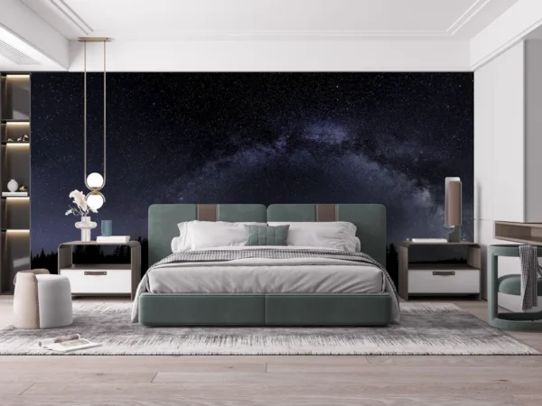 Milky Way Starry Night Wallpaper Mural